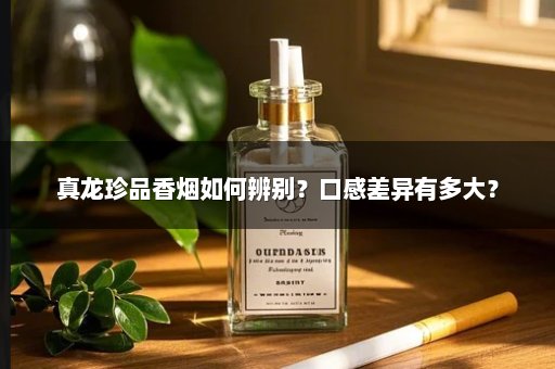 真龙珍品香烟如何辨别？口感差异有多大？