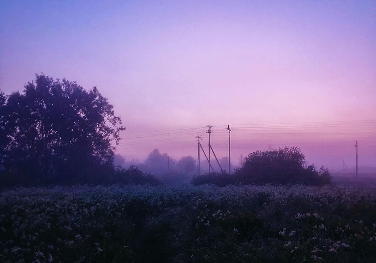 烟草证停业的“八问八答”